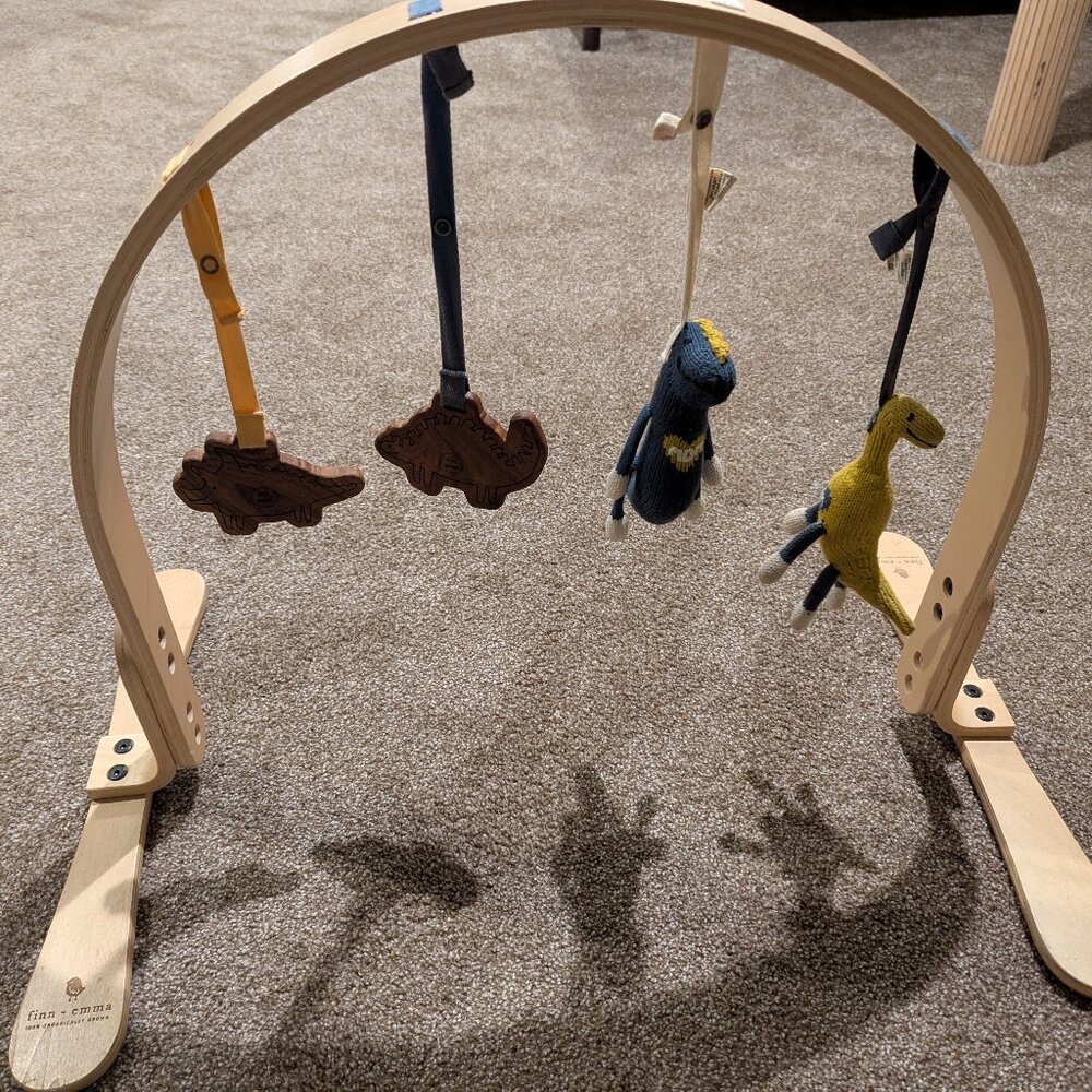 Finn and Emma Play Gym